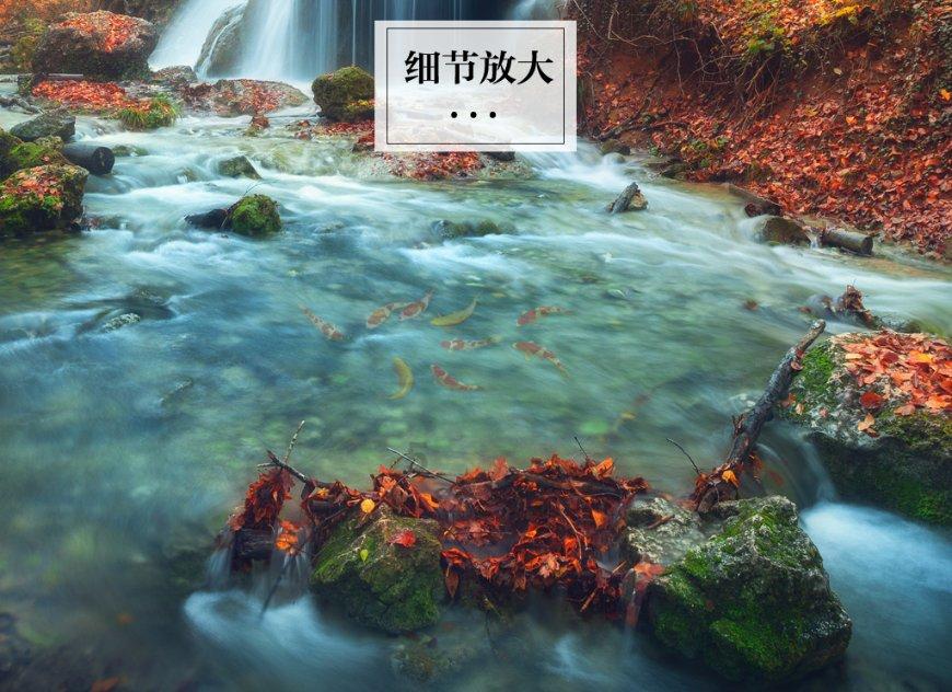 深入了解是男性更需要后代,还是女性更需要后代?知识星球,专注分享与学习